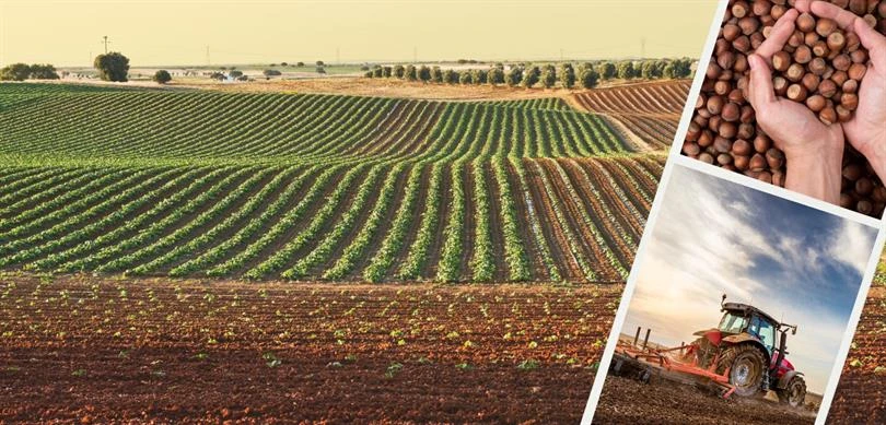 Bakanlıktan çiftçilere 1 milyar 35 milyon liralık destek müjdesi!