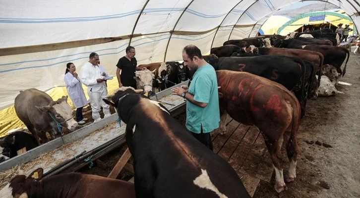 Başkent'te kurban pazarları denetlendi