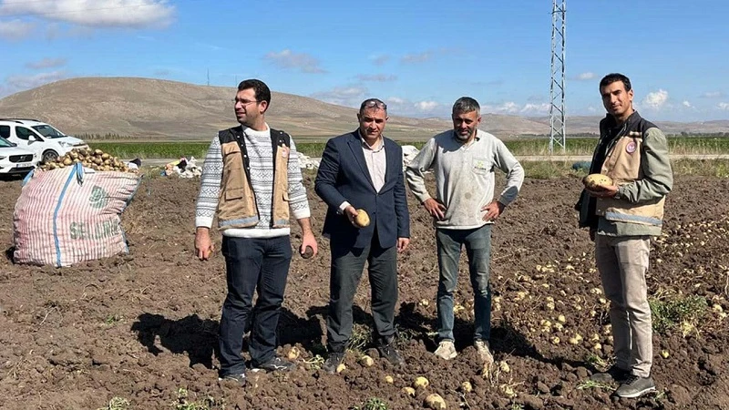 Bayburt’ta patates hasadı: Üreticiler bilgilendirildi