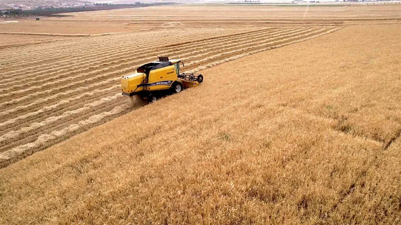 Biçerdöverlerin arpa tarlalarına girdiği Adıyaman'da hasat başladı