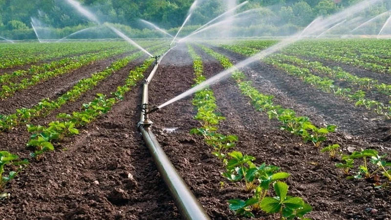 Bireysel sulama sistemlerine yüzde 50 hibe desteği verilecek