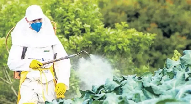 Bitki zararlısına çevreci damlalar