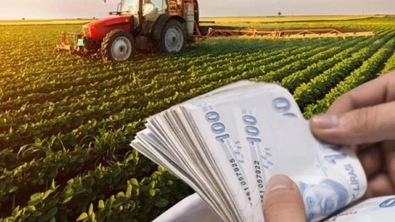 Bitkisel üretim desteklerine yönelik esaslar düzenlendi