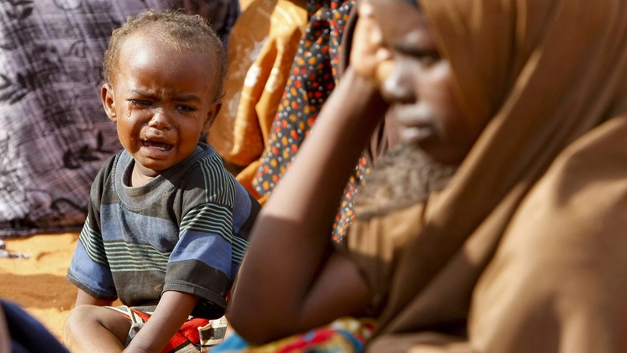 BM açlığı bitirmek için "küresel yol haritası" sürecini başlattı