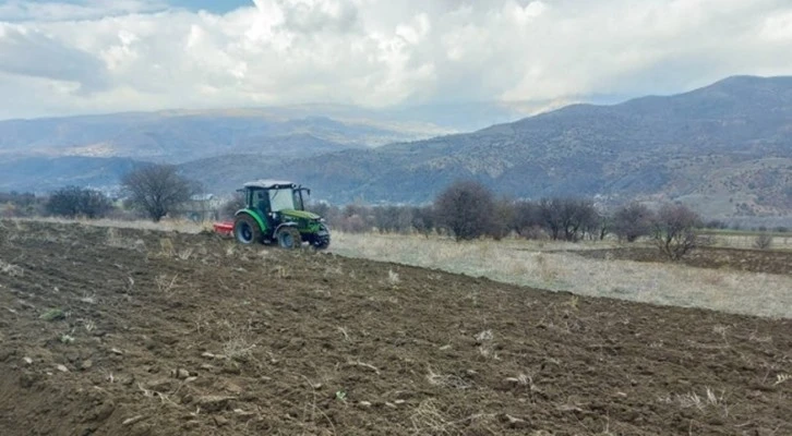 Boş tarım arazileri siyez buğdayı ile buluşuyor
