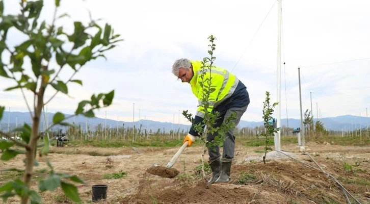 Bu bahçede 26 türden 62 çeşit meyve yetişiyor