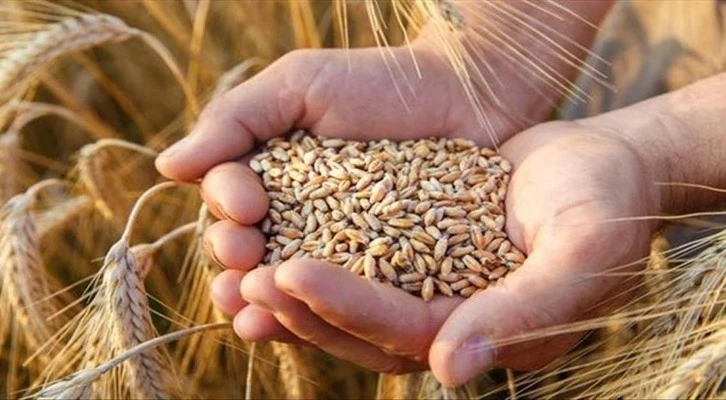 Buğdayda 2023 ihracat hedefi 5 milyar dolar