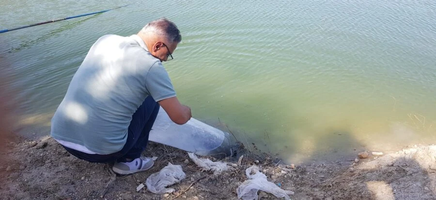 Buldan’da 50 bin balık suya bırakıldı