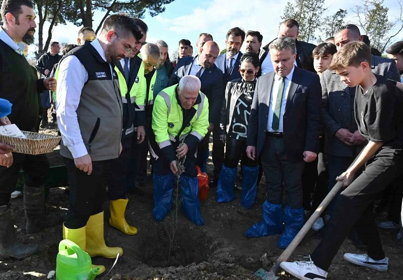 Bursa'da zeytin fidanları toprakla buluştu