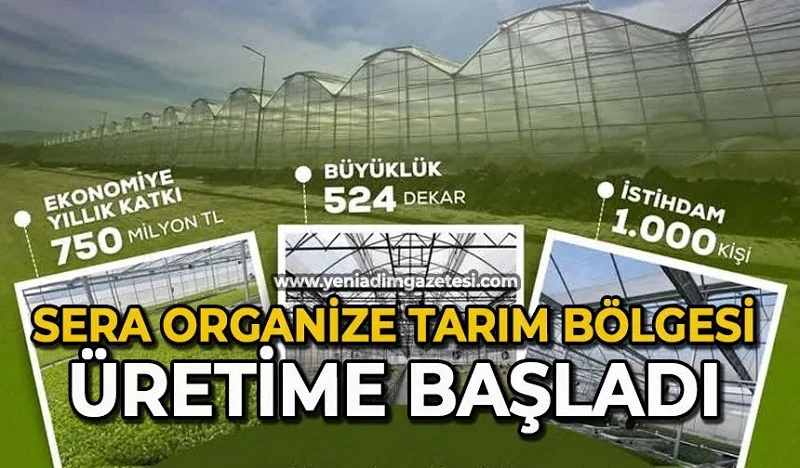 Çaycuma’da Sera Organize Tarım Bölgesi üretime başladı