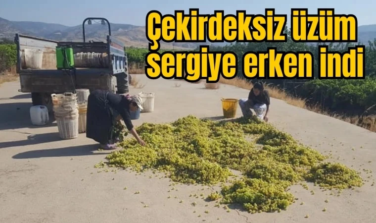 Çekirdeksiz üzüm Alaşehir'de sergiye erken indi