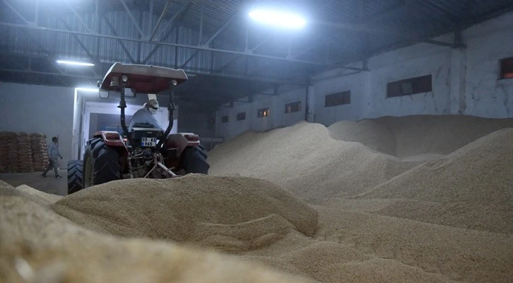 Çeltik üreticisinin yüzü sözleşmeli üretimle gülüyor