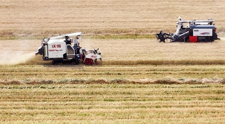 Çin, kara toprağı korumak için Tarım Teknolojisini geliştiriyor
