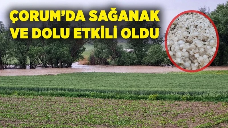 Çorum'da dolu yağışı tarım arazilerini etkiledi