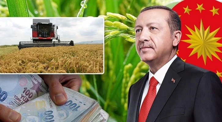 Cumhurbaşkanı Erdoğan çeltik alım fiyatlarını açıkladı