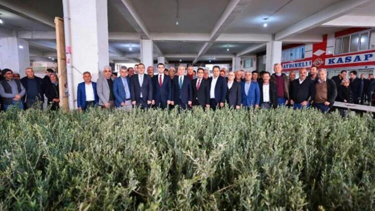 Denizli'de 40 bin zeytin fidanı atıl tarım arazisiyle buluşacak