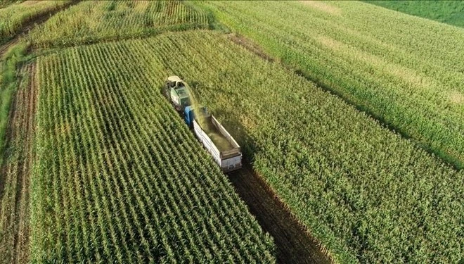Deprem bölgesindeki sertifikalı tohum destekleri yüzde 100 artırıldı