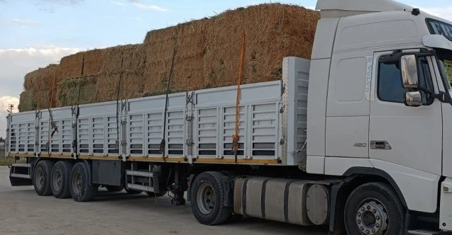 Depremden etkilenen Elbistan'da besicilere ücretsiz yem desteği