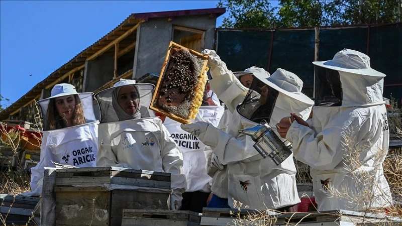 Devlet desteğiyle arıcılığa başlayan kadınlar merada kara kovan balı üretiyor