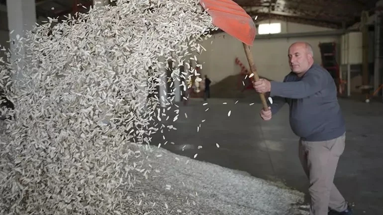 Devlet desteğiyle kurdu, ihracat şampiyonu oldu