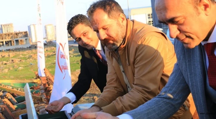 Diyarbakır'da atıl tarım arazilerine mercimek ekimi