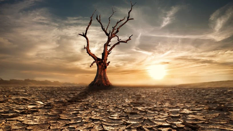 Dünya en sıcak yıllarını yaşıyor