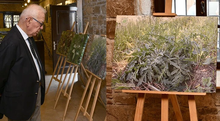 Dünyada sadece Kuşadası’nda yetişen bitki sergide