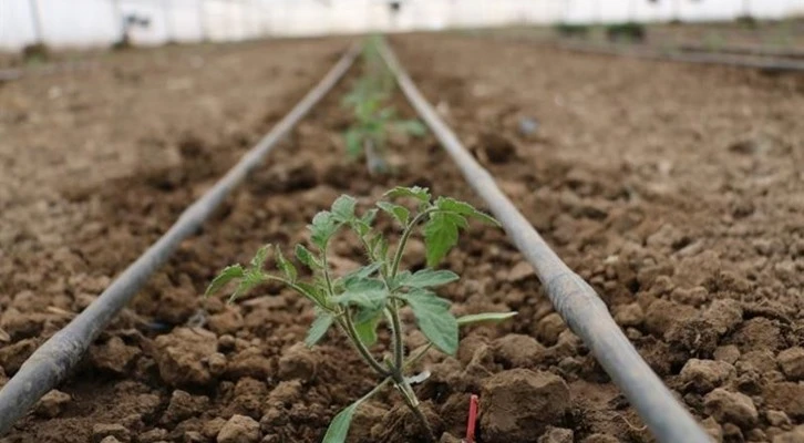 Erzincan Kent Tarım Projesi başlıyor, sera yatırımı artacak