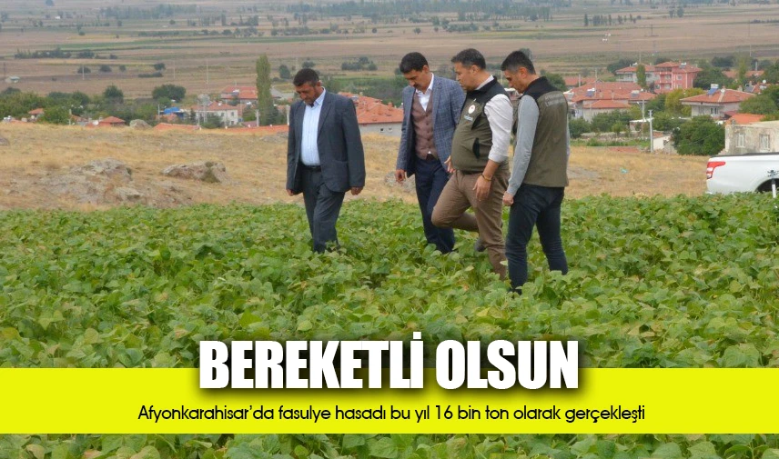 Fasulye hasadı bu yıl 16 bin ton olarak gerçekleşti