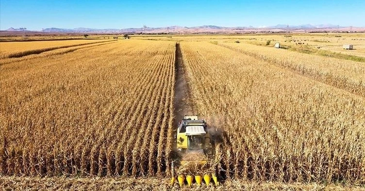 Gambiya Tarım Bakanı Sabally: "Türkiye, tarım ve sulama açısından oldukça ileri düzeyde"