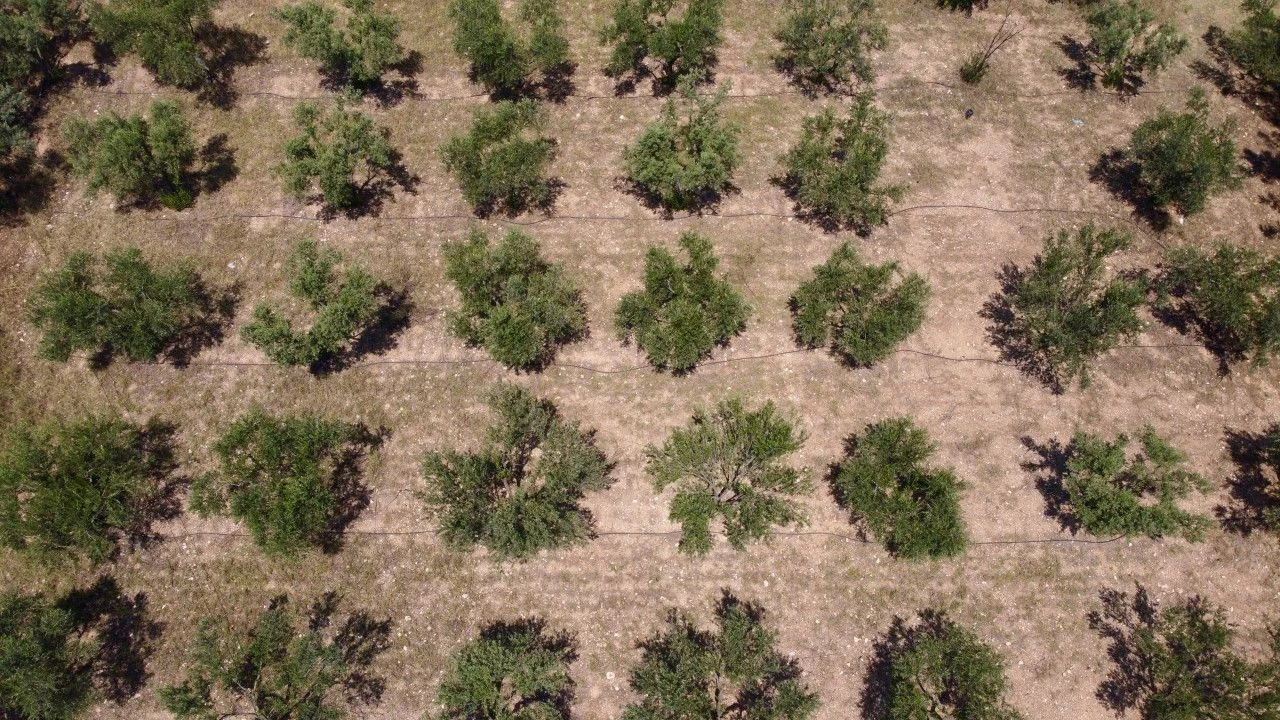 Geleceğin çiftçilerini yetiştirmek için bir ilçe adeta seferber oldu