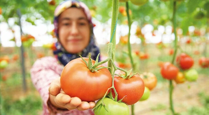 Genç Çiftçi Projesi ile hayatları değişti: Toprağın sultanları olacaklar