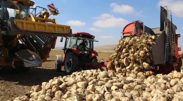 "Gerektiği kadar gübre verimi artırır"