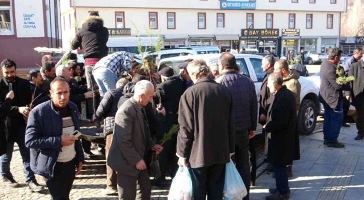 Van Gevaş'ta vatandaşlara fidan dağıtımı