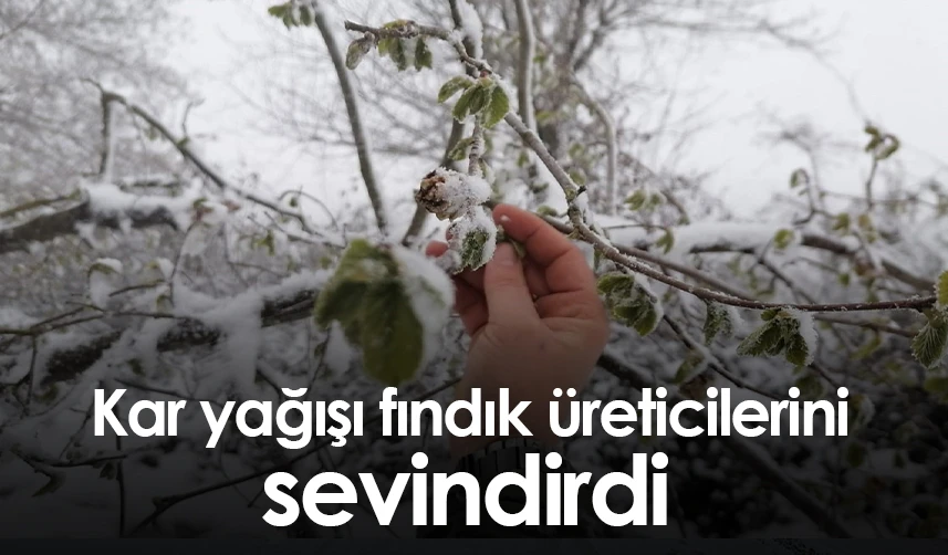 Giresun'da etkili olan kar yağışı fındık üreticilerini sevindirdi