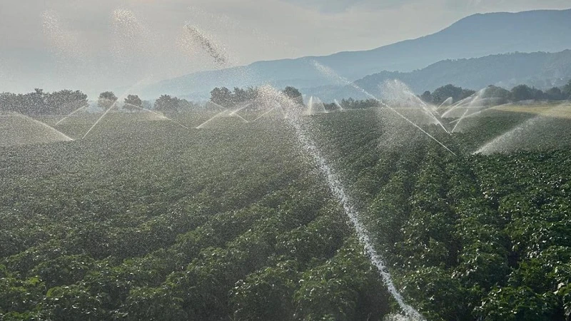Gölköy Barajı ile 14 bin metrekarelik tarım arazisi sulanacak