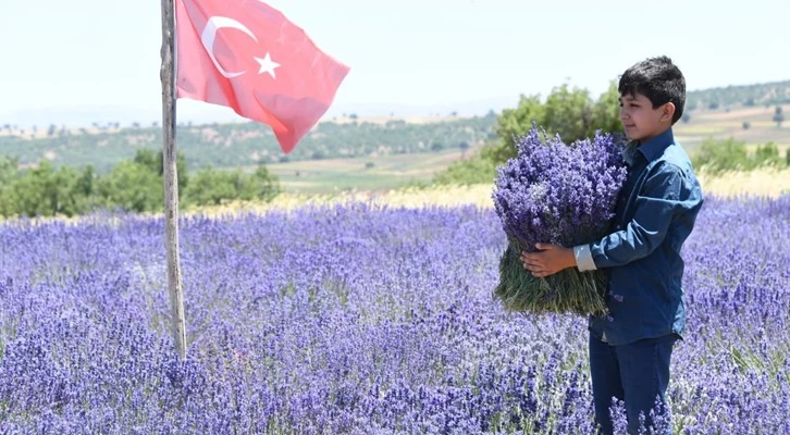 Güneysınır’da ekilen lavantanın ilk hasadı yapıldı