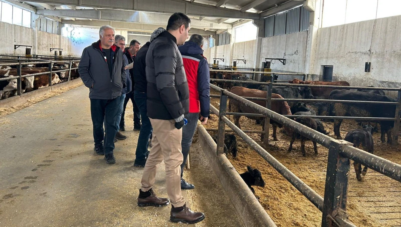 Hayvancılık desteği meyvelerini veriyor: 30 düveyle başladı, sürüye dönüştü! (İşte başarının sırrı)