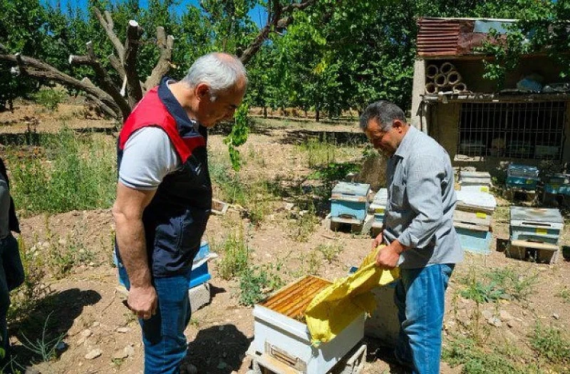 Hekimhan’da tarıma ve hayvancılığa sahada destek