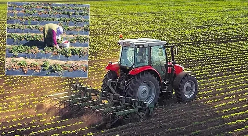 Hem çiftçi, hem tüketici için hedefler belirlendi: Akıllı tarım!
