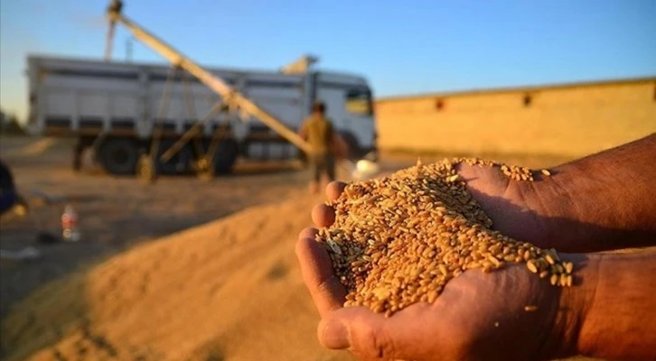 Hububat sektörü 2023'te rekor hedefliyor