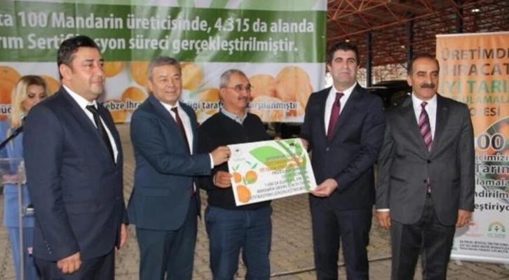 İzmir'de mandalina üreticileri İyi Tarım Uygulamaları ile üretim yapıyor