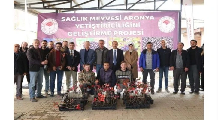İznik’in bereketi, sağlık meyvesi Aronya ile buluşuyor
