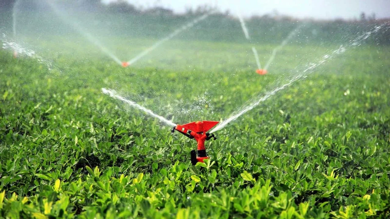 Kahramanmaraş'ta 431 bin 640 dekar tarım arazisi sulanacak