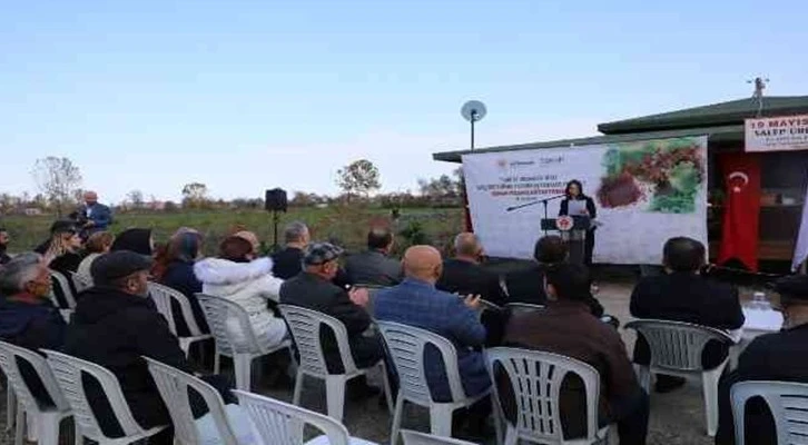 Karadeniz’in ilk ‘sumak’ bahçeleri Samsun’da kurulacak