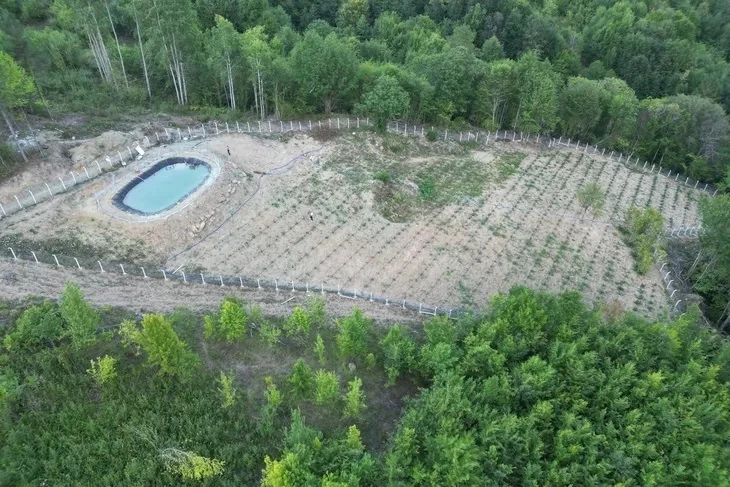 Kastamonu’da 100 tonluk su hasadı ile verimli sulama dönemi başladı