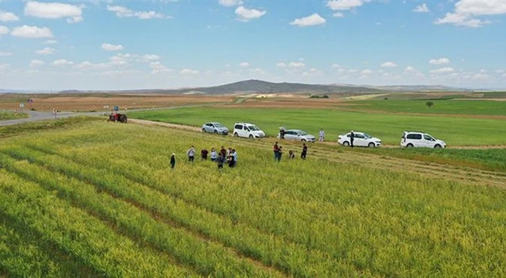 Kayseri'de Macar Fiğ ve Arpa çeşitlerinin tanıtımı düzenlenen Tarla Günü ile yapıldı
