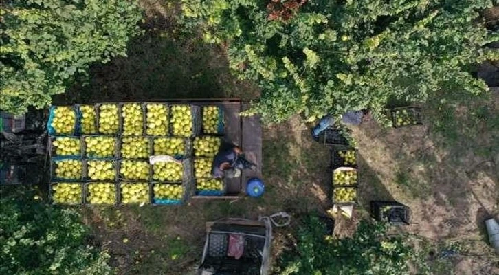 "Kent Tarımı Projesi" yol haritası belli oldu