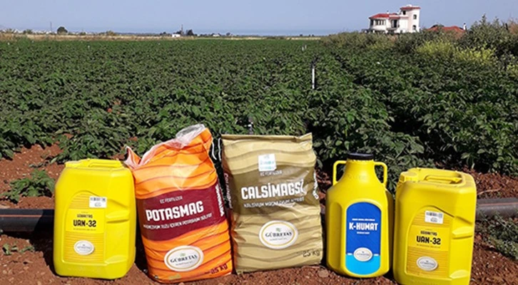 Kıbrıs patatesi GÜBRETAŞ’la bereketlendi