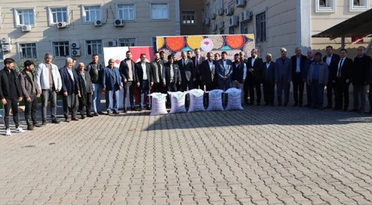 Kilis'te çiftçilere mercimek tohumu dağıtıldı
